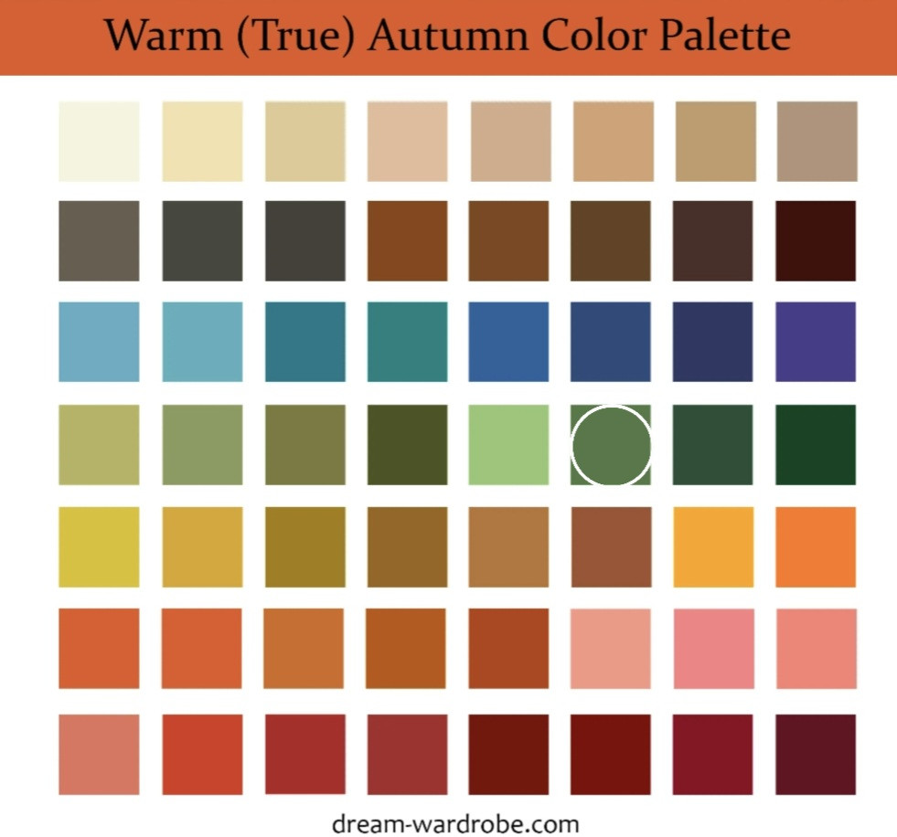 Screenshot 20251229 225416 Chrome