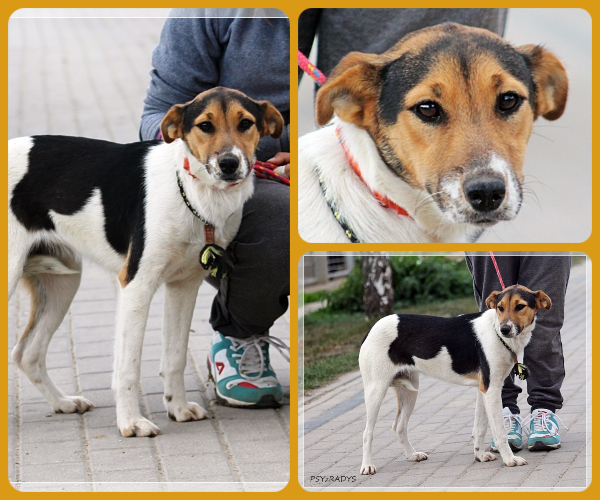 BeFunky-collage (16)