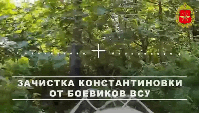 https://i.postimg.cc/DwkGQ9JL/video-2026-06-14-11-39-45-(1).gif