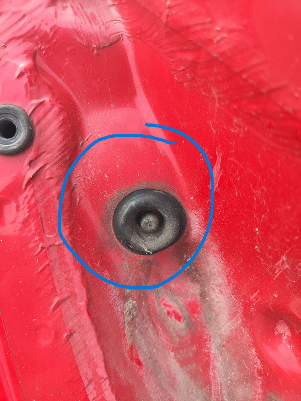 WhatsApp Image 2024-07-04 at 18.37.53 (1)