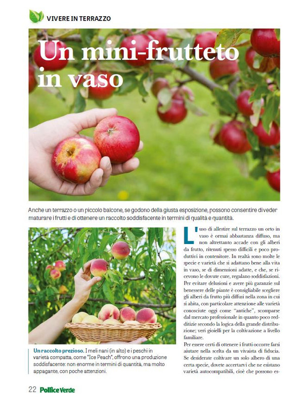 Pol Ver Ago 2025 (3)