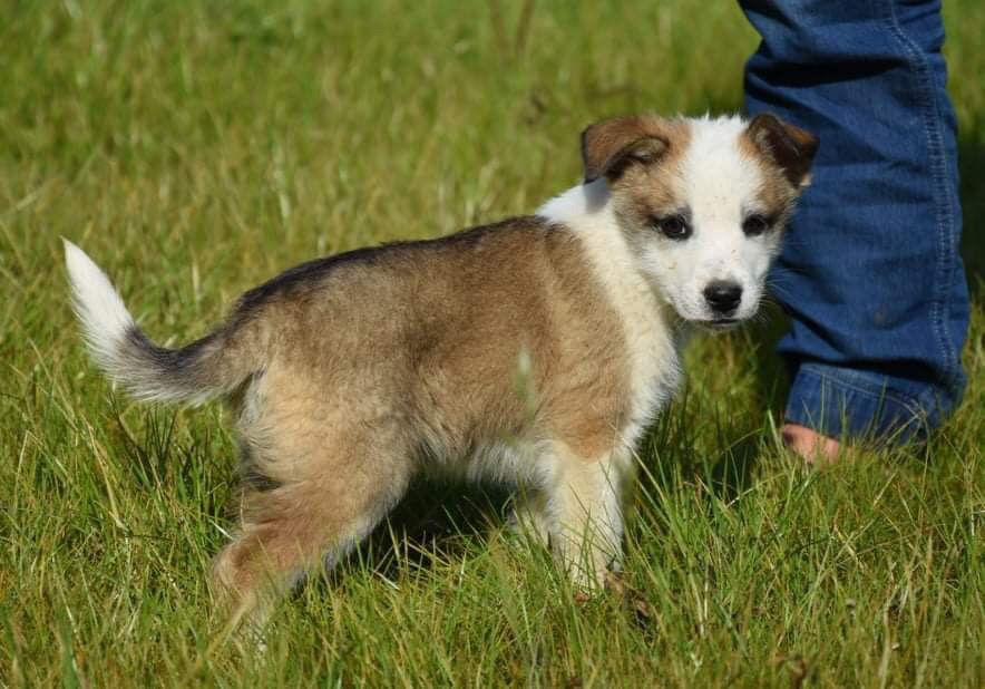 639130CB-02CB-4EC6-A240-A0129178AC38