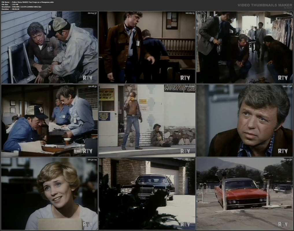 Police Story S04E03 Two Frogs on a Mongoose.mkv