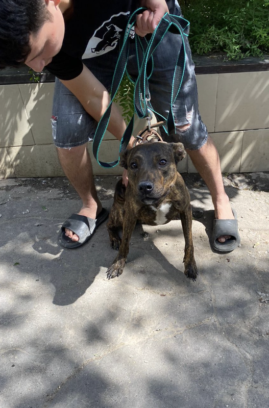 Снимок экрана 2024-06-11 в 21.11.46