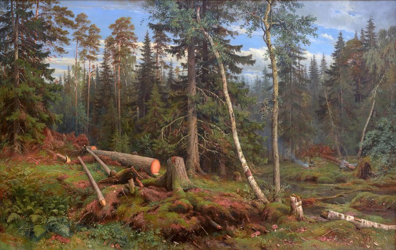 rubka-lesa-shishkin
