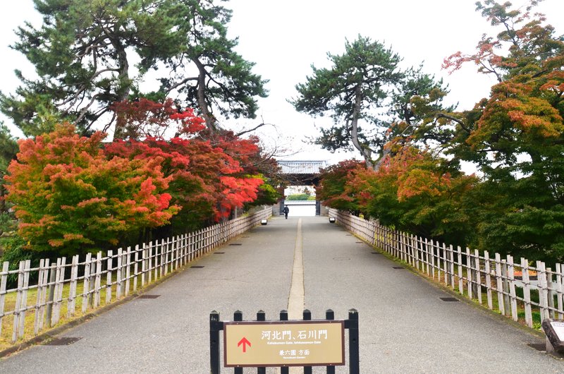 Kanazawa-15-11-2024 - Japón y sus Pueblos-2024 (27)