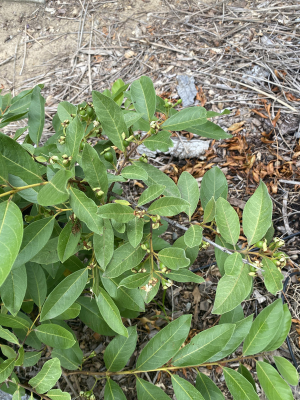 3113BEBC-2231-4662-8B9B-684898EC612E