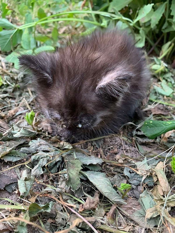 CE9EF7AE-CB56-4B07-9CFF-7B5F814BA190