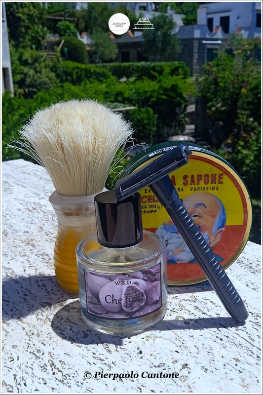 SOTD20240607_CheFico2
