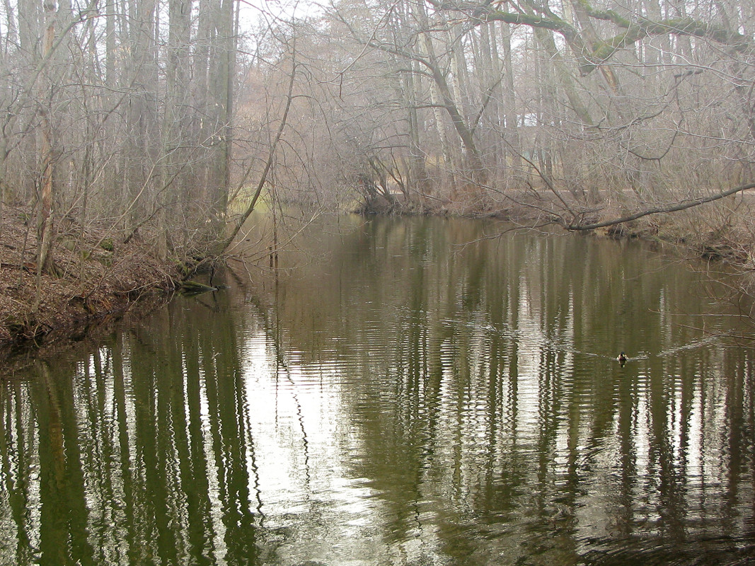 IMG_3154_обработано