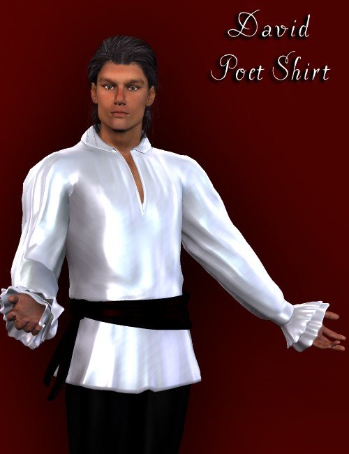 D3 Poet Shirt D3 Poet Shirt