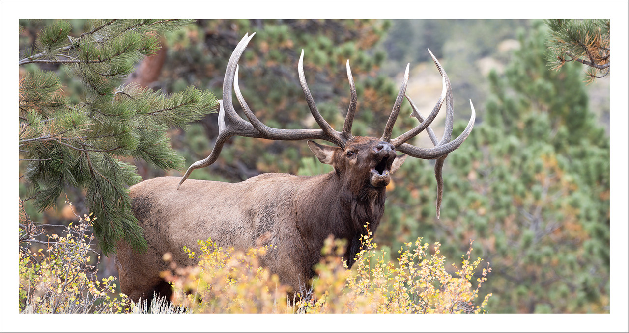 Ed1600-2x1TopazNik_DSF9362-topaz-denoiseraw copy 2