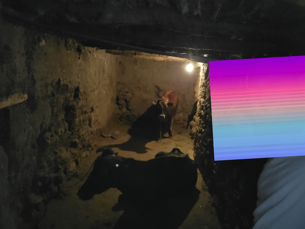20210819_152651