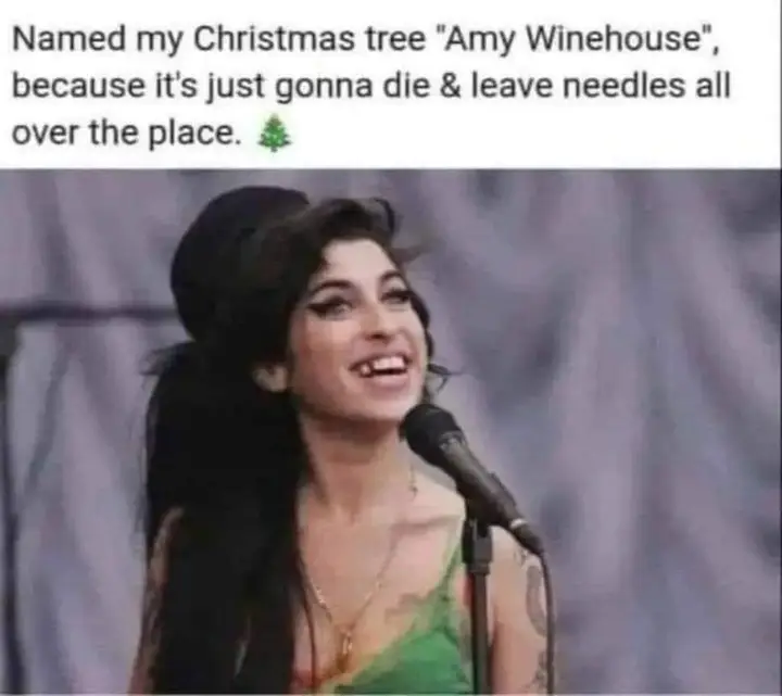 [Image: Amy.webp]