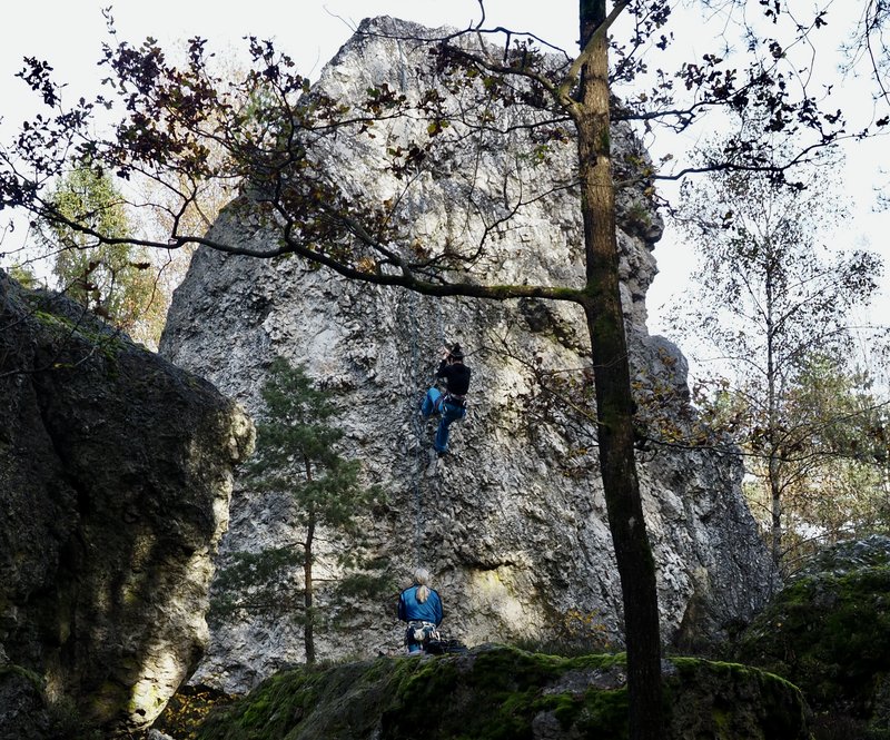 PA290868.jpg