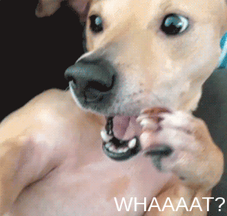 cc64fbef3ae20cf00ef5e87818e38646.gif