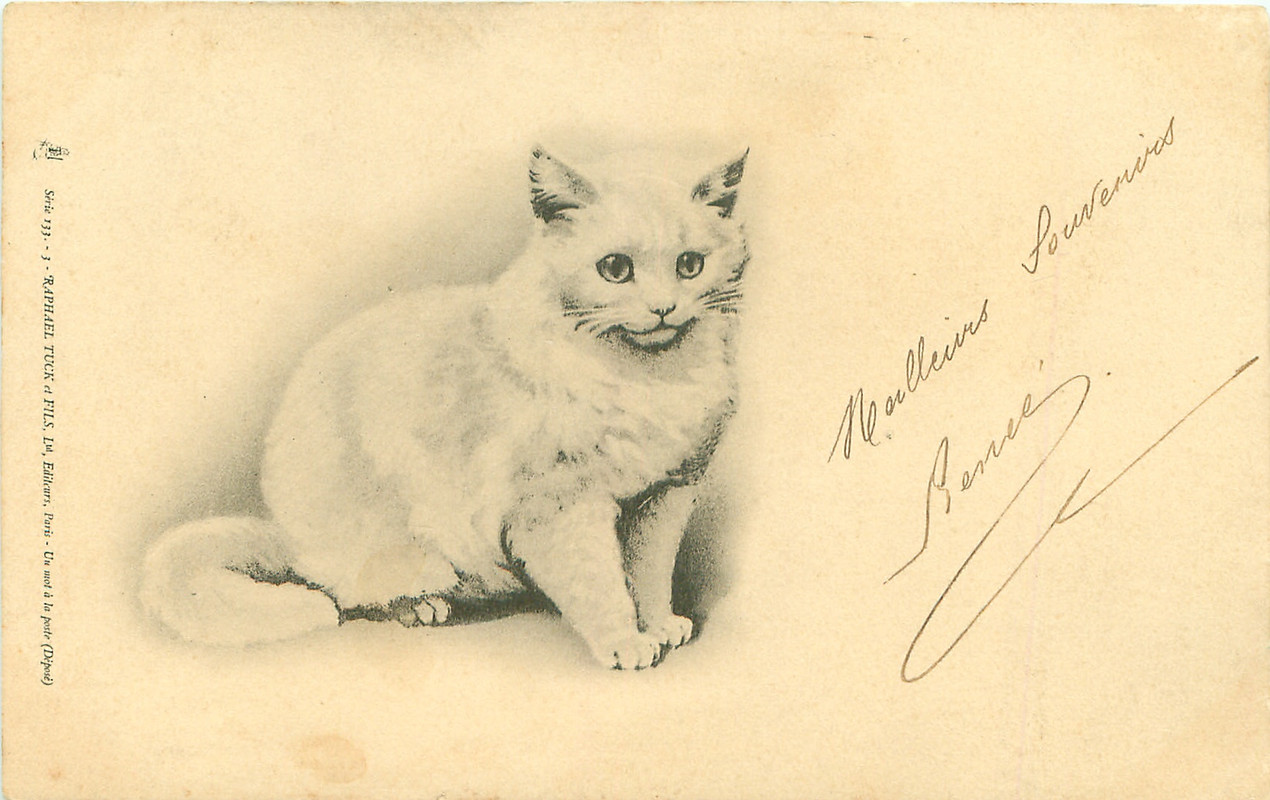 27-2011-05-30-16-39-20