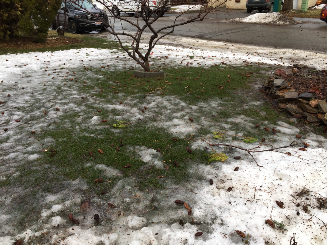 7D285439-54BF-4E98-BFF0-32734D238C48