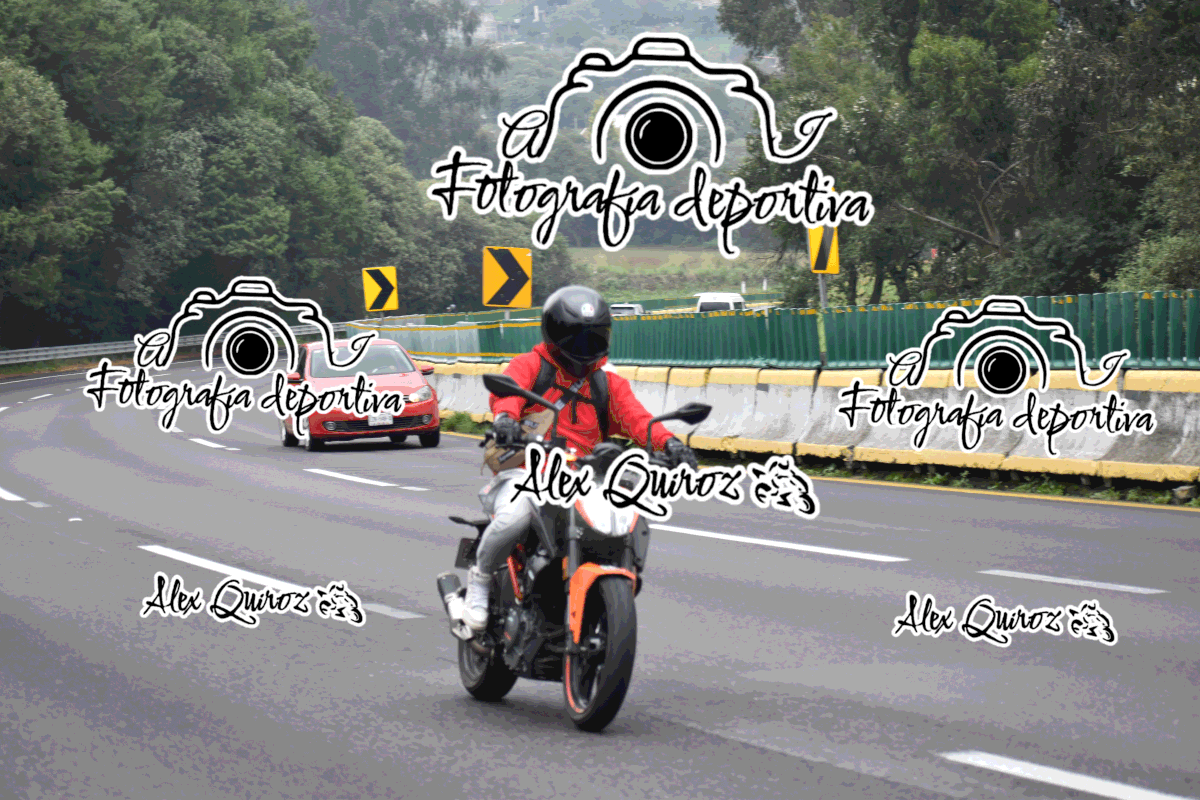AVQ 1355 — Postimages