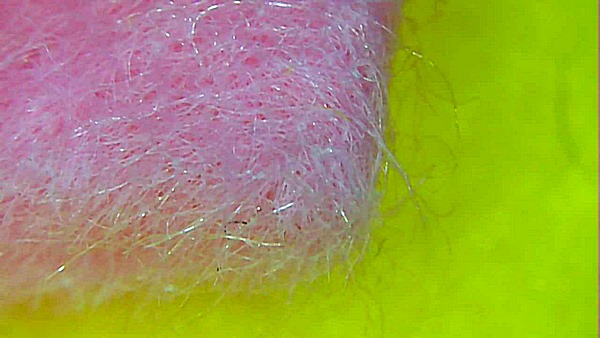 91162750-10219946706532150-8665127894416097280-n