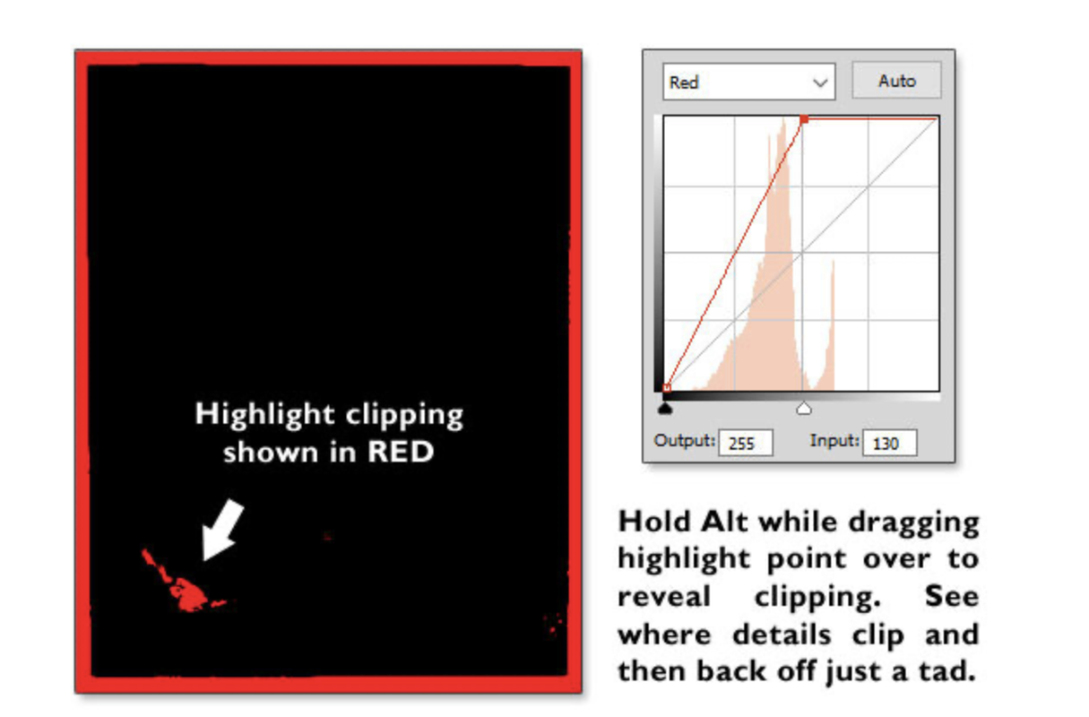 Capture d’écran 2021-05-13 à 12.00.19