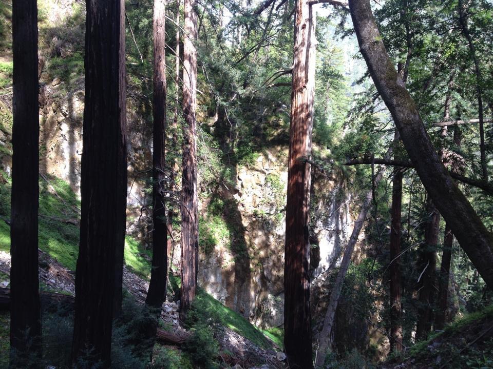 [Image: 6A764D59-EDDC-4BA9-A575-856407AE34D0.jpg]