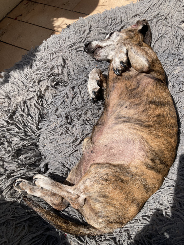 [Image: IMG-1714.jpg]