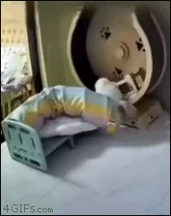 90e1daeffb477408529f5214b094e6a8c85a7a24