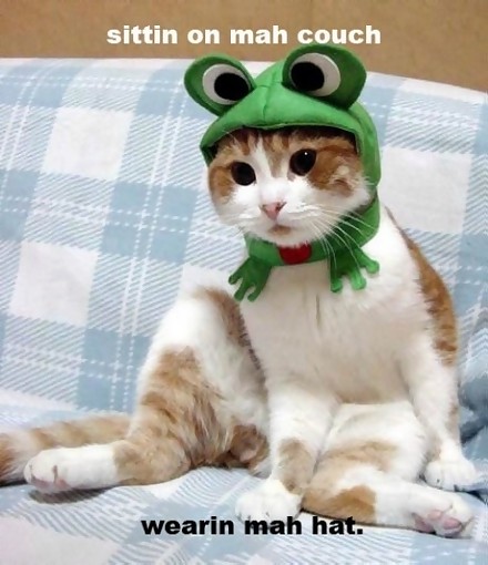 Cat_couch_hat