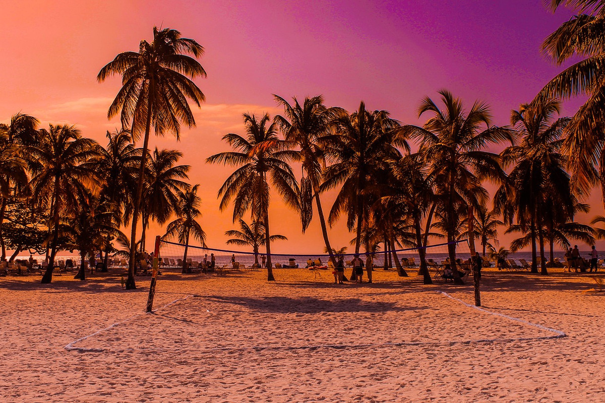 magenta-caribbean-1918911-1280.jpg