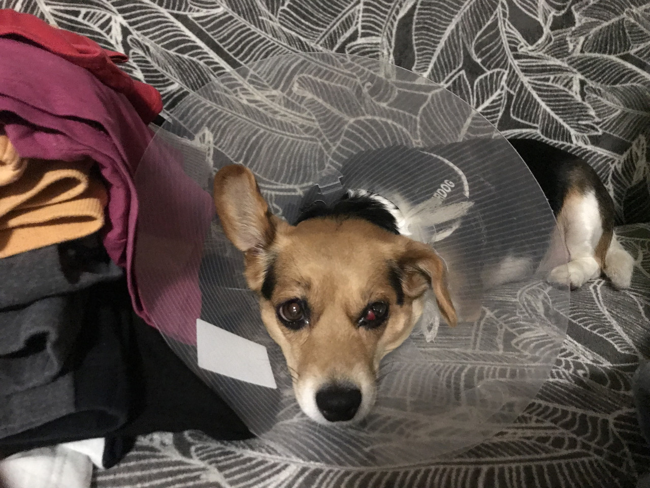 B73D4ECB B6EA 40FC 98FA 21005CCBAFEC