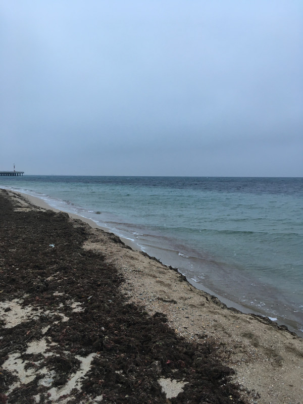 4F9E61D6-7A8C-43AB-AAA5-E08B0A9B79C4