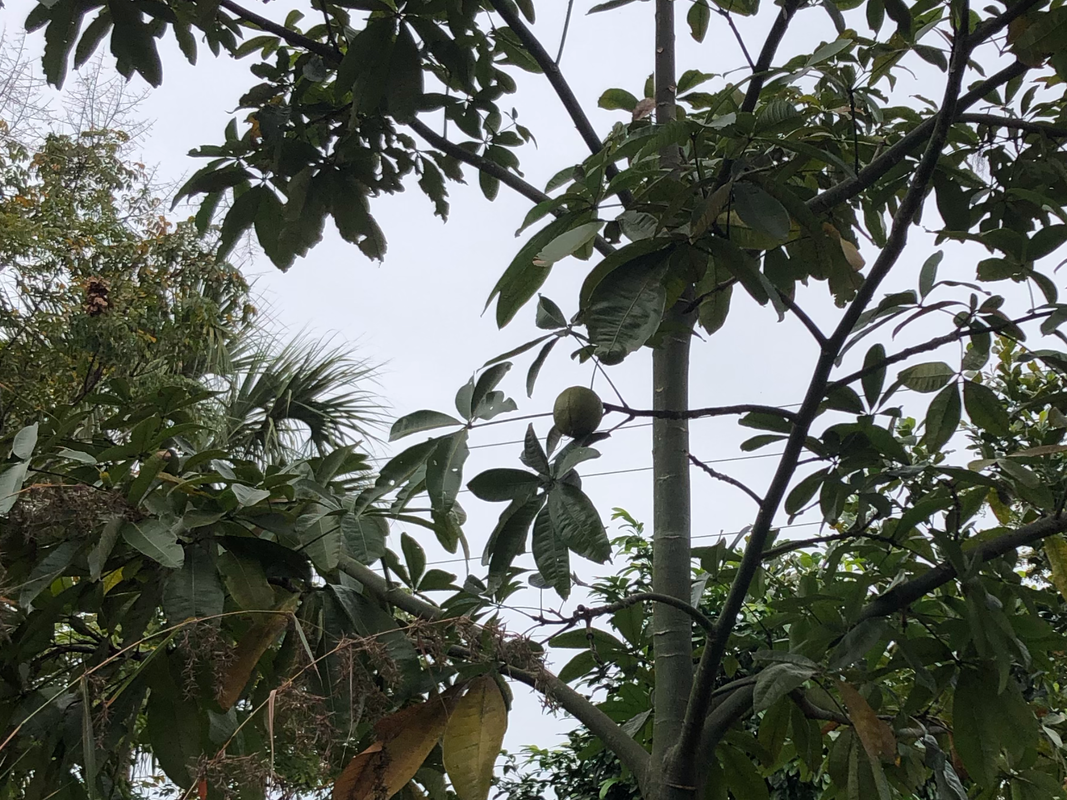 B1C88FC1-24C6-464E-8337-E6EE2079C4E0