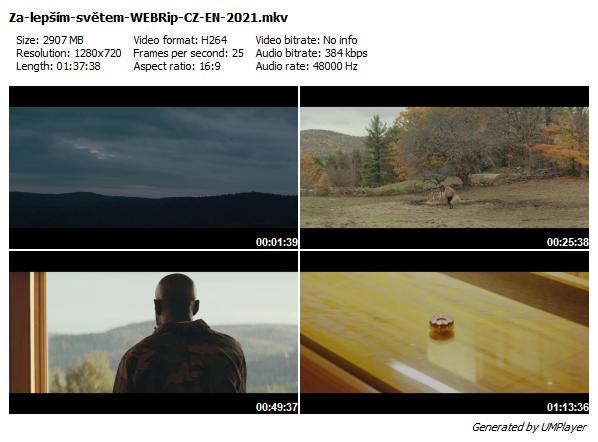 Za lepším světem / Down with the King (2021)
