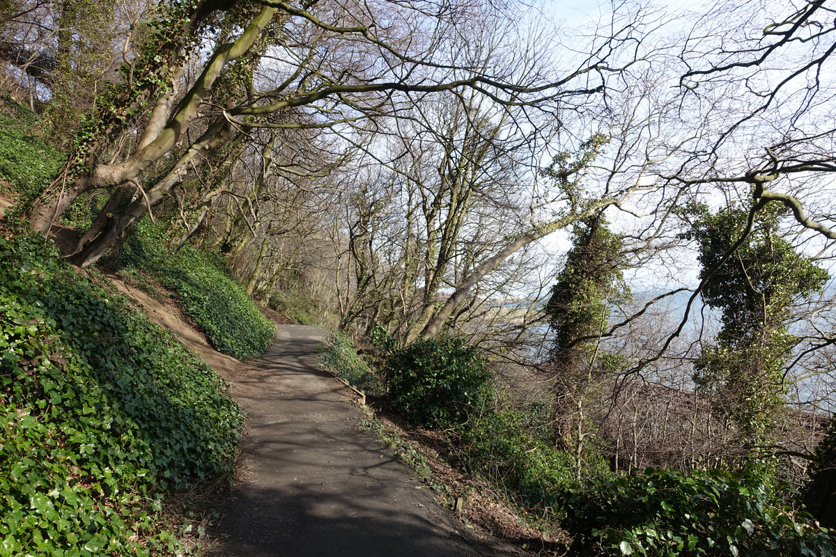 dsc04614_16925172077_o