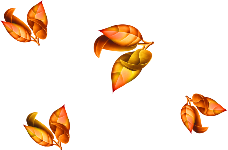 Pumpkinfairykitpudnleavess