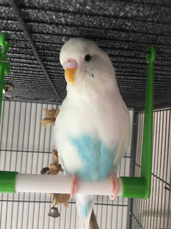 88BFA13C-0025-44C5-ADB0-68328AAFA41E