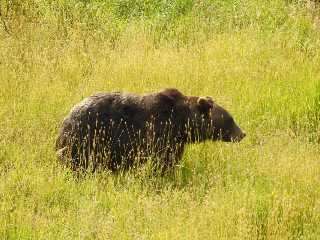 A8AA6FA7-C39F-44DA-9490-A95D36260420