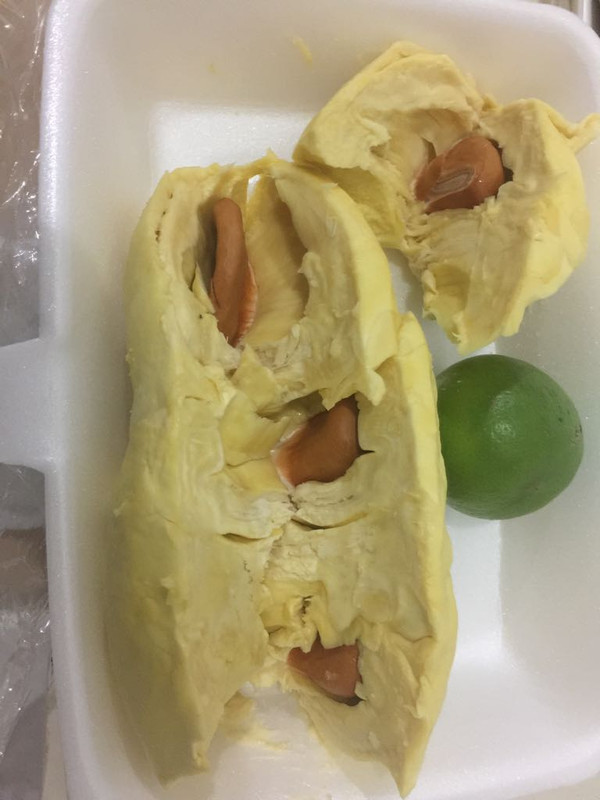 88397BDA-E571-4458-A4ED-35ACE5070795