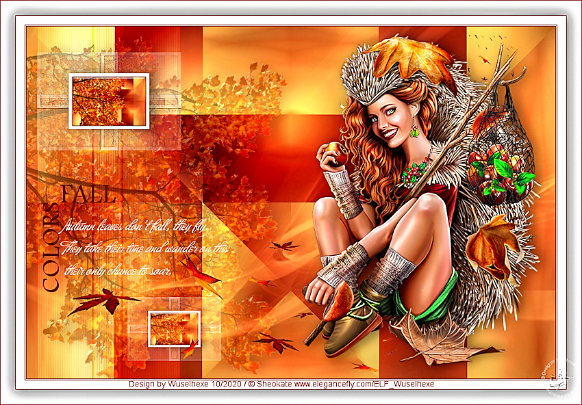 [Bild: Fall-Colors.jpg]