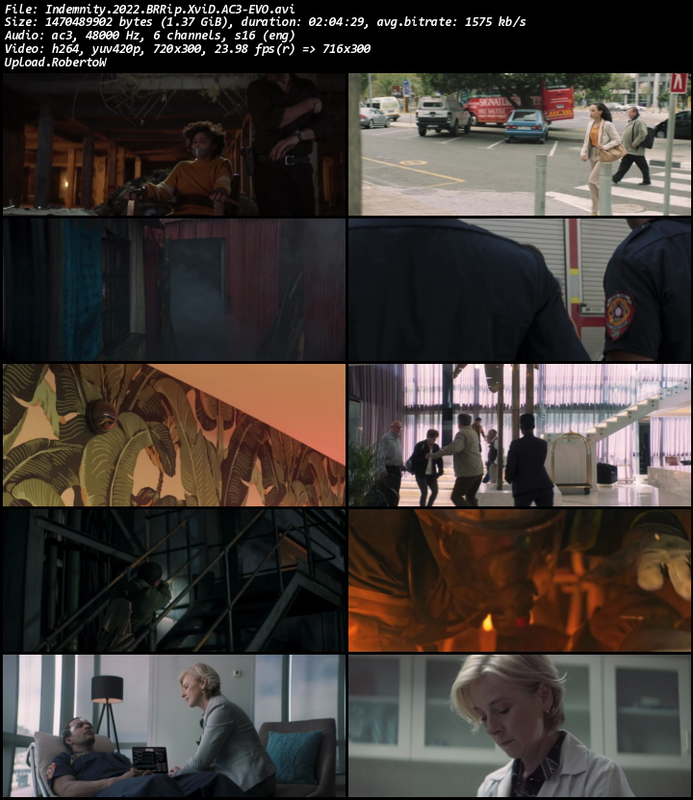 Indemnity-2022-BRRip-Xvi-D-AC3-EVO.png
