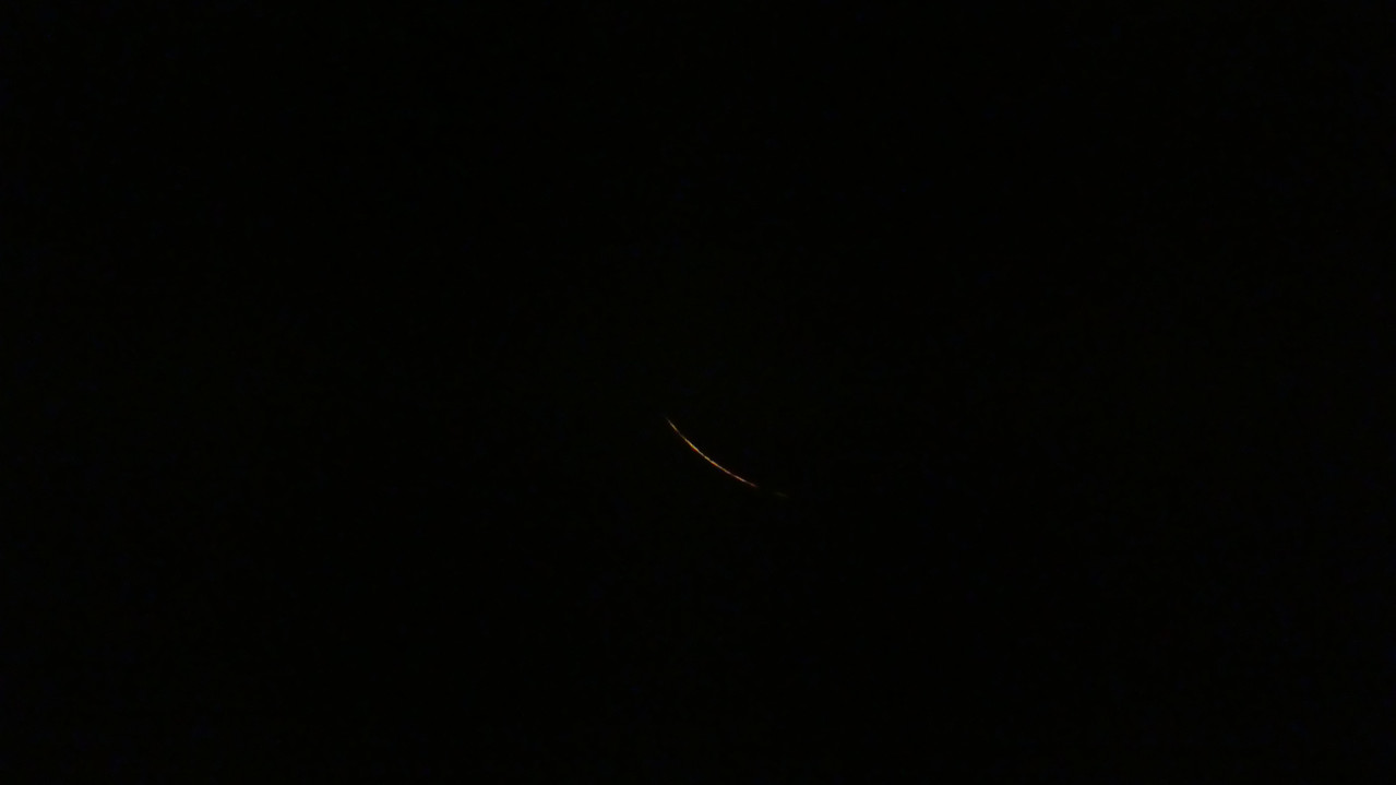 P1000394