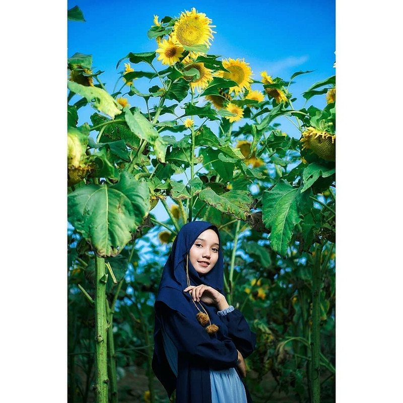 Sitinggil Garden