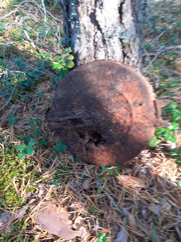 20200927_105433 – kopio