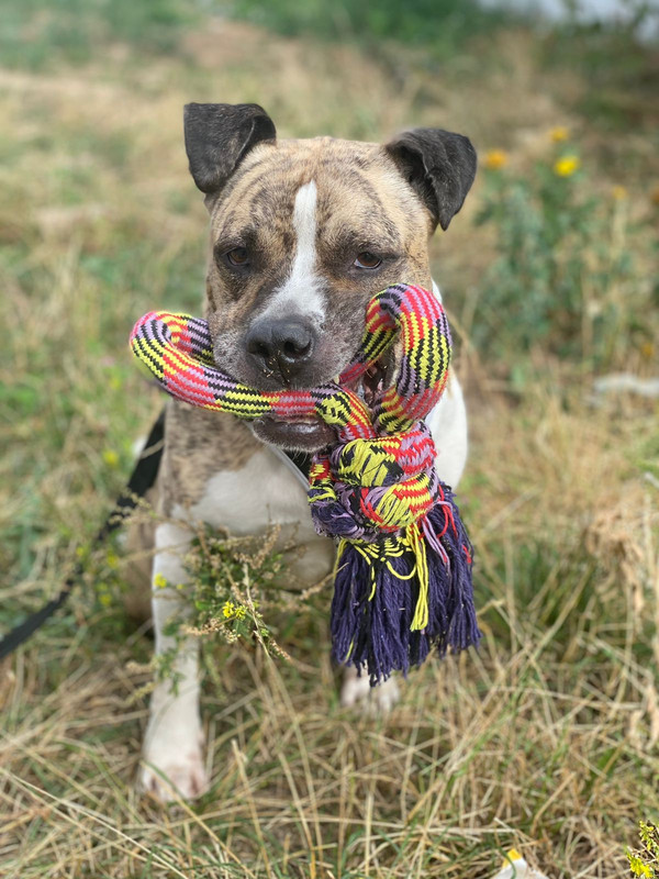 E41D5D04-CEAF-46D7-968D-C6DF8F361B7E