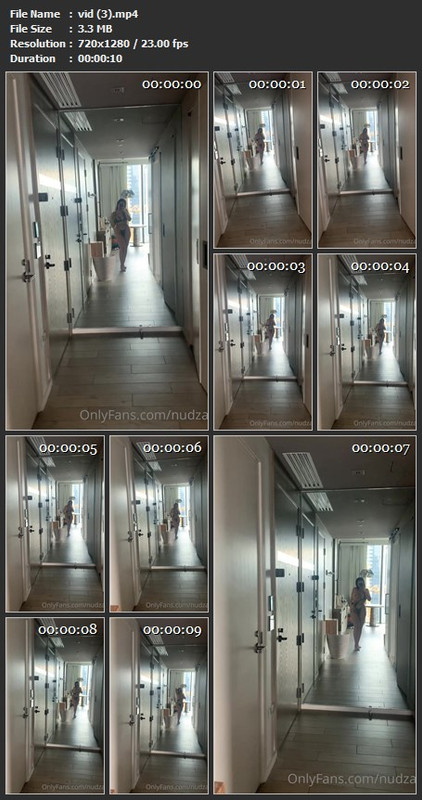 vid (3).mp4