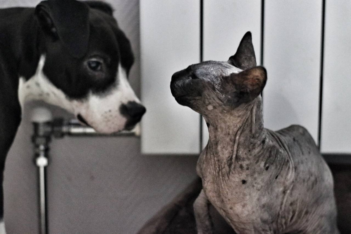 E3089A32-F7BC-459D-AB86-C15167C1CDA2