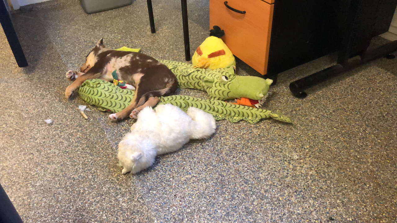 B2D5D738-5F4E-40BE-A0F9-8FA8710AA924