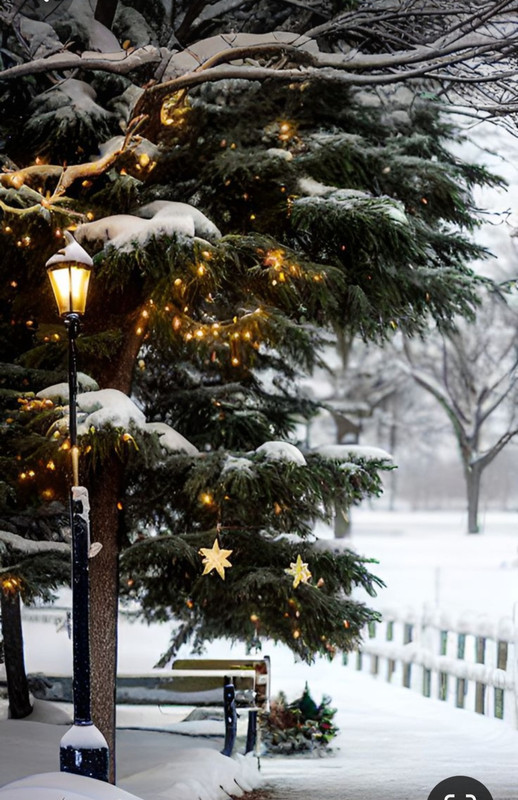 Screenshot_20231217_185617_Pinterest