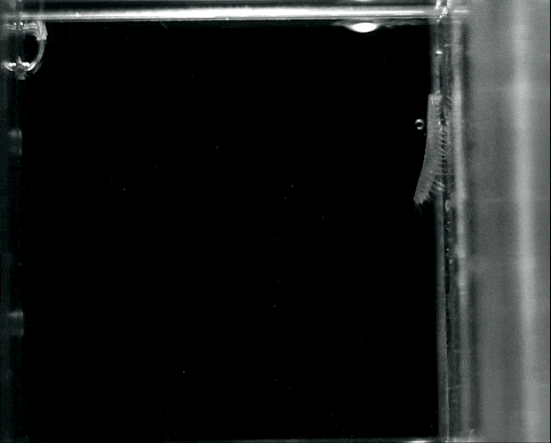 B-rsteorm-4
